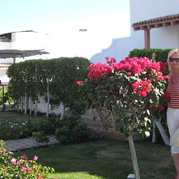 ���� �������, ����� - ��������� 14 ���� 2014