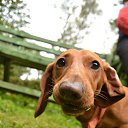  Gelya   20, , 57  -  23  2014    