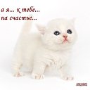 ���� ***Olga Ya***, ��������� - ��������� 10 ��� 2014 � ������ ���� ����������