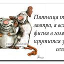 ���� �������, ���������, 53 ���� - ��������� 24 ���� 2014 � ������ ������ ��������