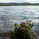 ���� �����, ��������, 54 ���� - ��������� 10 ���� 2014 � ������ ������ ��������