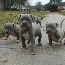���� ������, ���������, 48 ��� - ��������� 5 ������� 2014 � ������ ������ ��������
