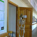 ���� ����, ���������, 34 ���� - ��������� 29 ����� 2014 � ������ ������ ��������