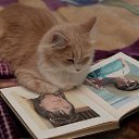 ���� �����, �������� - ��������� 14 ��� 2014