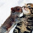  , , 61  -  9  2014      )))