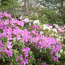 ���� ������, �����-���������, 64 ���� - ��������� 15 ������ 2014 � ������ ���������