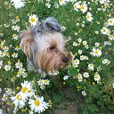 ���� �����, ����������� - ��������� 25 ���� 2014 � ������ ��������� ��������