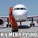 ���� ����, ���, 54 ���� - ��������� 2 ������� 2014 � ������ ������ ��������