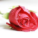 ���� Svetlana, ���������, 59 ��� - ��������� 29 ������ 2014 � ������ ������ ��������