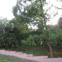 ���� ������, ������ - ��������� 14 ���� 2014 � ������ ����� 2014�