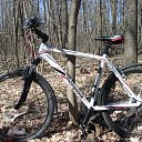 �� �������� �� ������� ���� ����������