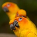 ���� �������, ������, 37 ��� - ��������� 7 ������ 2014 � ������ ������ ��������