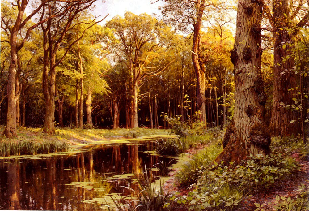 Monsted Peder Mork A Forest Stream