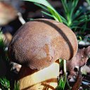 ���� �����, �����, 64 ���� - ��������� 6 ��� 2014 � ������ ������������ ������