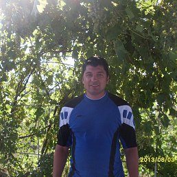 ���� �������, ������������, 42 ���� - ��������� 20 ����� 2014