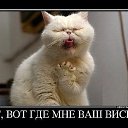 ���� ����, �����������, 65 ��� - ��������� 20 ���� 2014 � ������ ������ ��������