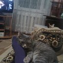 �����: "��� ������� ������". �� ������� ���� ����������