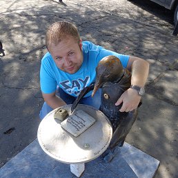 ���� ���������, ���������, 43 ���� - ��������� 19 ��� 2014