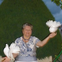 ���������, �����, 71 ���