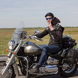 Paulik, �����-���������, 39 ���