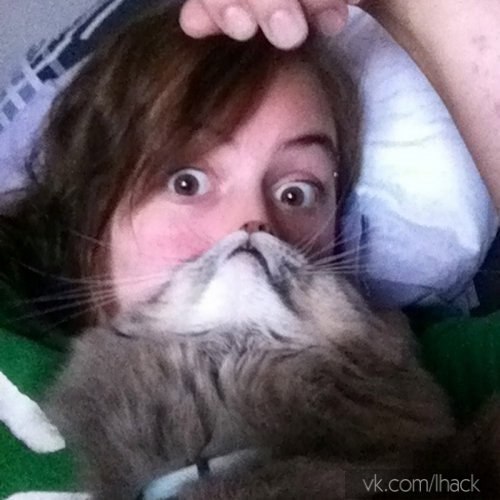 More Photos of Cat Beards