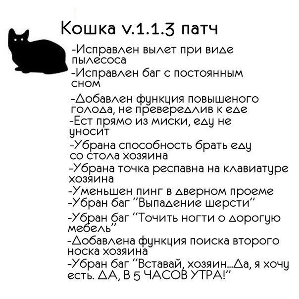 Прикольные имена для кошек. Поправил патч на кофте. Поправил патч текст. Поправил патч.