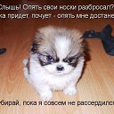 ���� ��������, ������ - ��������� 2 ������ 2014 � ������ ������ ��������