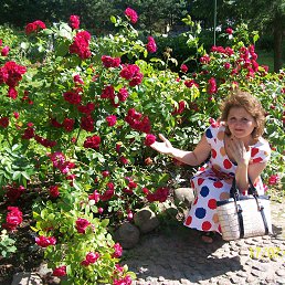 Rawilja, ������, 63 ����