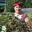 ���� �������, �������������, 50 ��� - ��������� 11 ������� 2014 � ������ ���� ����������