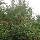 ���� ��������, ������, 72 ���� - ��������� 17 ���� 2014 � ������ ���� ����������