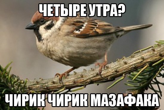/zev/null - 27  2014  08:16