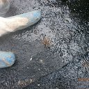 ���� �����, ������, 54 ���� - ��������� 29 ��� 2014 � ������ ���� ����������