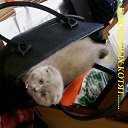 ���� �������� �� �������...., ���, 53 ���� - ��������� 20 ��� 2014 � ������ ������ ��������