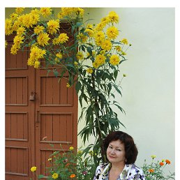 ���� �������, �����, 64 ���� - ��������� 13 ���� 2014