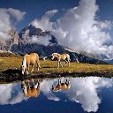 ���� �����, ������-��-����, 64 ���� - ��������� 21 ���� 2014 � ������ ������� �������