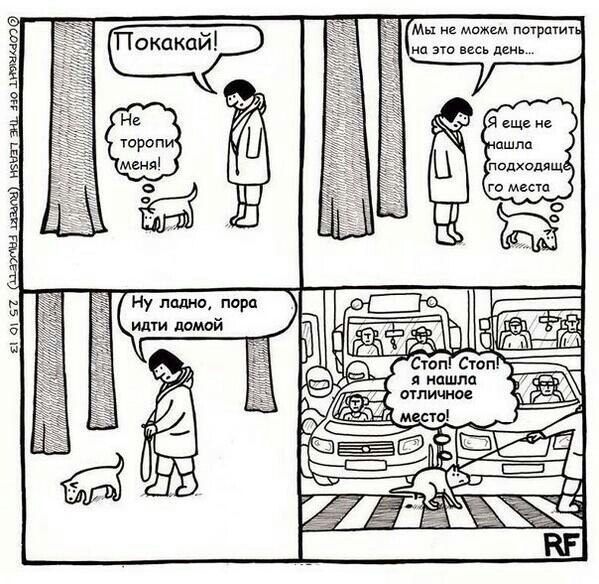 .•°Dogs Forever°•. - 3  2014  23:40