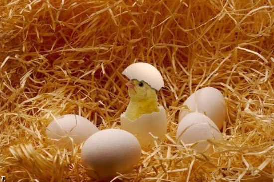 Geram - 5 ���� 2014 � 19:24