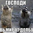 ��������....)) �� ������� ���������