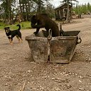 ��� ���� ������� ������ �� ������� �������� ������ ������