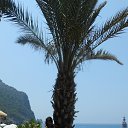 ���� ������, ����� �������, 52 ���� - ��������� 2 ������� 2014 � ������ ���� ����������