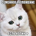 ���� ������, ������, 37 ��� - ��������� 27 ����� 2014 � ������ ������ ��������