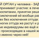 ���� �����, ���� - ��������� 30 ����� 2014 � ������ ������ ��������