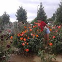 ����� ���� �� ������� ���� ����������