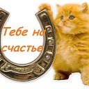 ���� ������, ��������� - ��������� 22 ������� 2014 � ������ ���� ����������