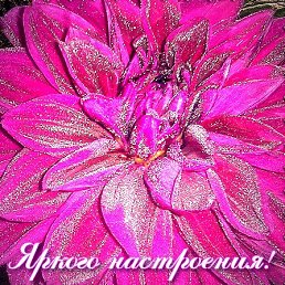 ���� �����, ������ - ��������� 6 ���� 2014