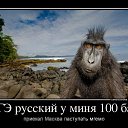 ���� ��������, ������������, 61 ��� - ��������� 18 ������� 2014 � ������ ������ ��������