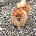 ���� �����, �����������, 63 ���� - ��������� 5 ���� 2014 � ������ ������ 2014�