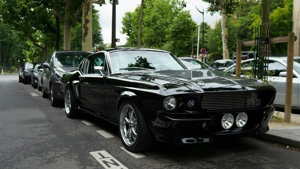 Ford Mustang GT500 Shelby 