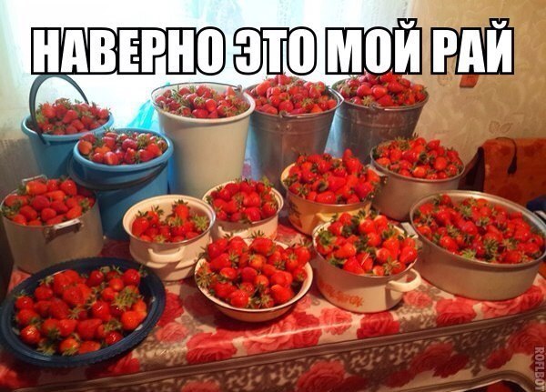 ����������� (18+) - 13 ���� 2014 � 23:39