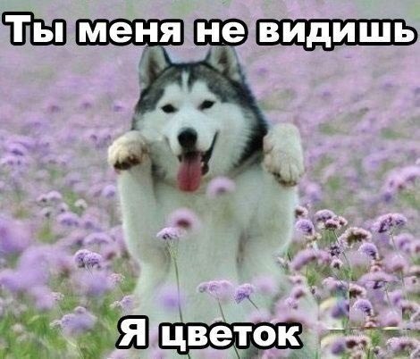 ���� ������� :3 - 5 ������� 2014 � 12:59